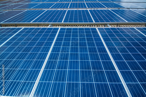 Solar panels, wide view. 