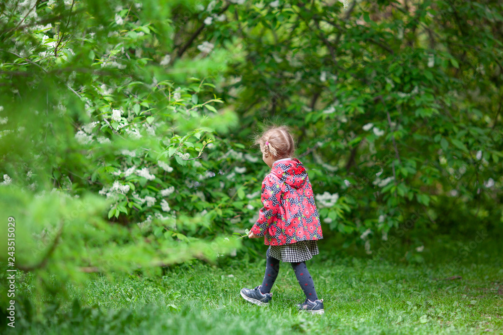 Little cute girl walking in summer park, outdoor Little cute girl walking in summer park, outdoor