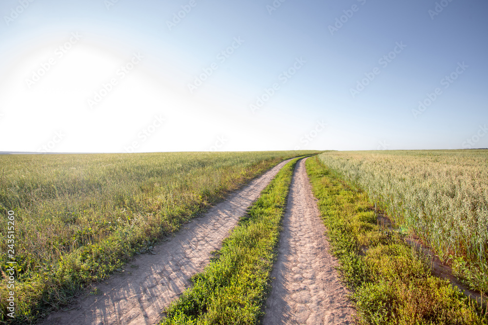 Naklejka premium Dirt road in the field, going beyond the horizon. Sunbeam illuminates the fields of wheat.