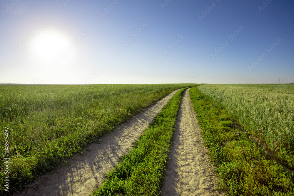 Dirt road in the field, going beyond the horizon. Sunbeam illuminates the fields of wheat. Dirt road in the field, going beyond the horizon. Sunbeam illuminates the fields of wheat.