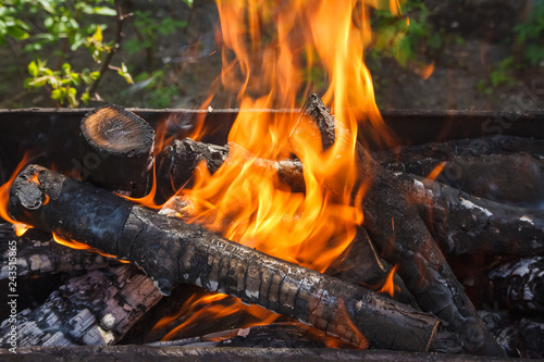 Fire and firewood in a burning brazier against the background of greenery