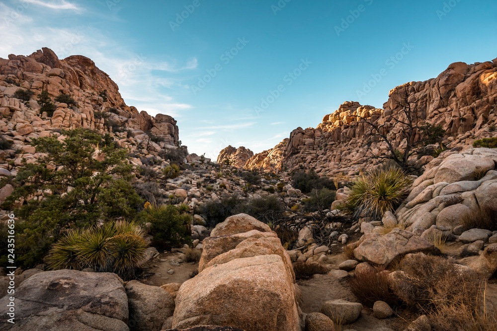 Tal in der Wüste des Joshua Tree NP Tal in der Wüste des Joshua Tree NP