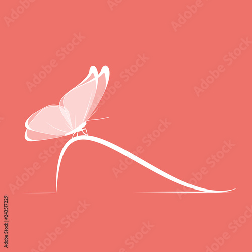 papillon-fond couleur living coral