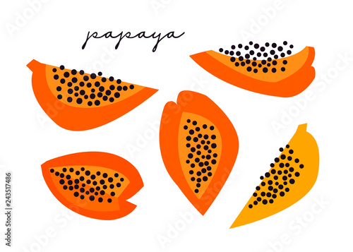 Hand drawn papaya. Paper cut style. Colored vector set. All elements are isolated