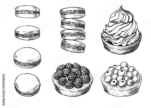 Set of delicious hand drawn creamy biscuit, french macaroons and tarts with berries. Engraving style pen pencil painting retro vintage vector lineart illustration. Collection of sweet desserts.