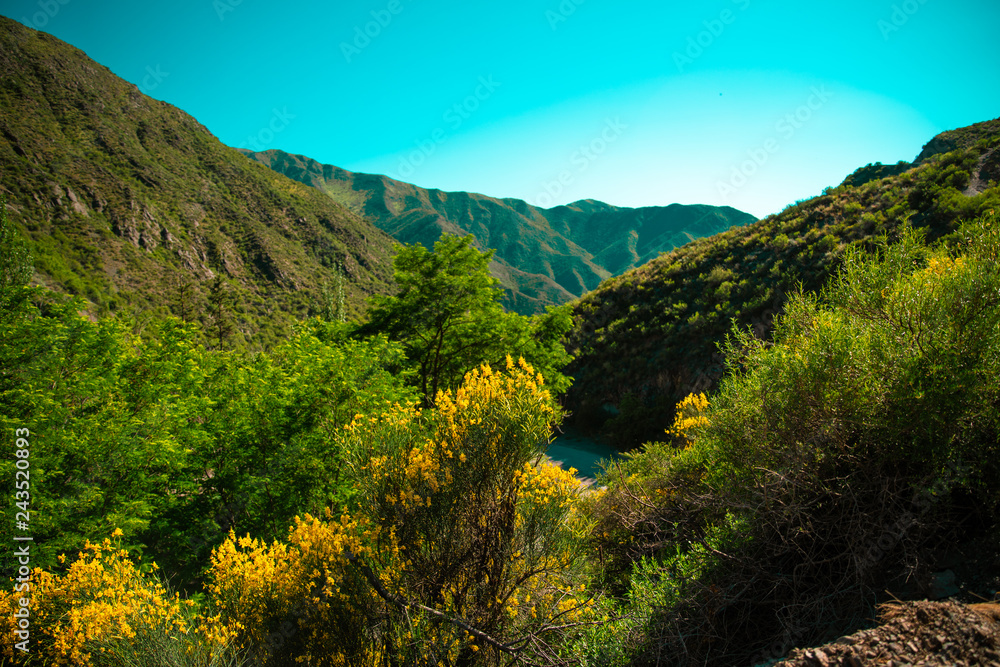 Obraz premium Landscape