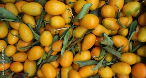 Large heap of kumquats, Citrus japonica is the scientific name, Food background and texture