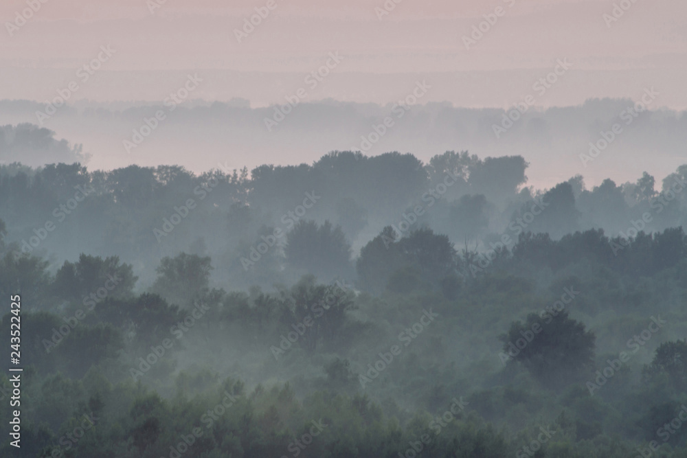 Mystical view from top on forest under haze at early morning. Eerie mist among layers from tree silhouettes in taiga under predawn sky. Morning atmospheric minimalistic landscape of majestic nature. Mystical view from top on forest under haze at early morning. Eerie mist among layers from tree silhouettes in taiga under predawn sky. Morning atmospheric minimalistic landscape of majestic nature.