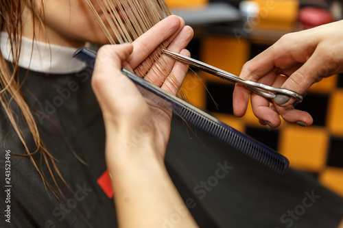 Professional hairdresser dyeing hair of her client in salon. Haircutter cuting hair. Selective focus.