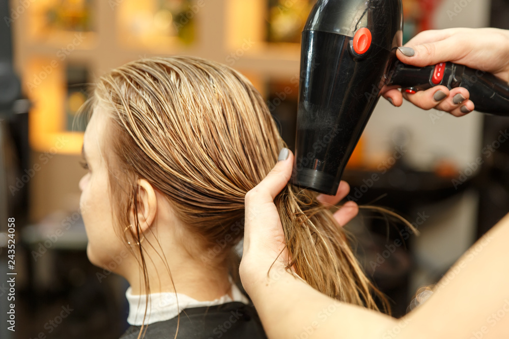 Fototapeta premium Professional hairdresser dyeing hair of her client in salon. Haircutter dry hair with hairdrier. Selective focus.