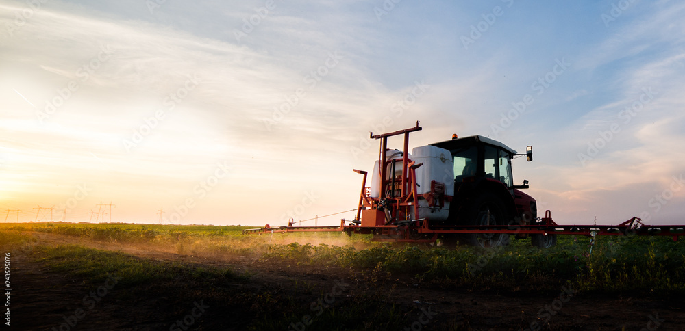Fototapeta premium Tractor spraying pesticides at soy bean field