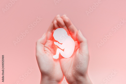 Fotografia White paper embryo silhouette in woman hands