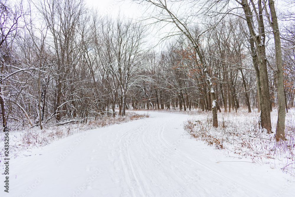 Curvy Snow Covered Trail in a Midwestern Forest during Winter Curvy Snow Covered Trail in a Midwestern Forest during Winter