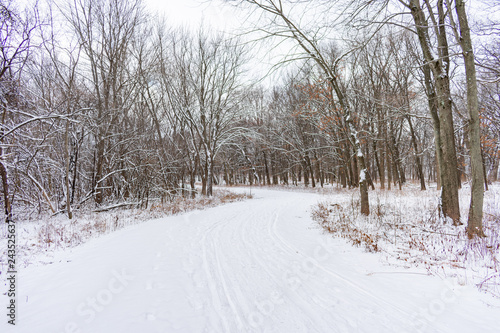Curvy Snow Covered Trail in a Midwestern Forest during Winter