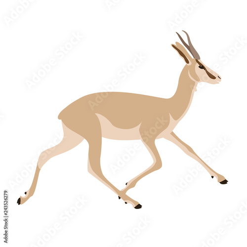  running antelope,vector illustration ,flat style, profile