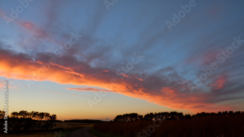 Sunset in the Field