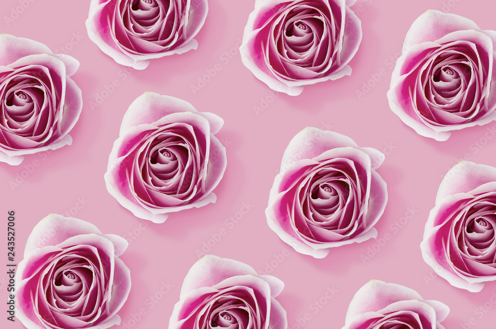 Pink Rose flowers pattern on pink background Pink Rose flowers pattern on pink background