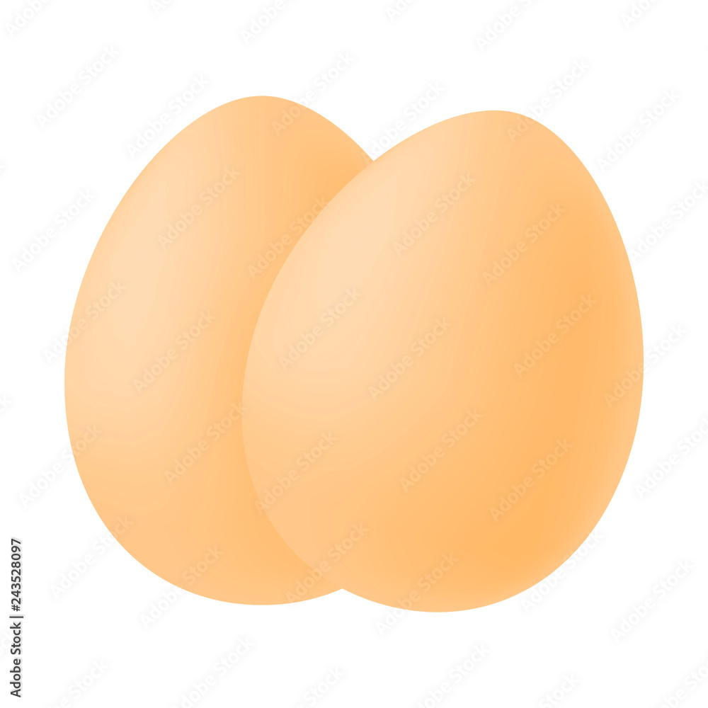 Realistic image of two eggs. Isolated vector illustration on white background Realistic image of two eggs. Isolated vector illustration on white background