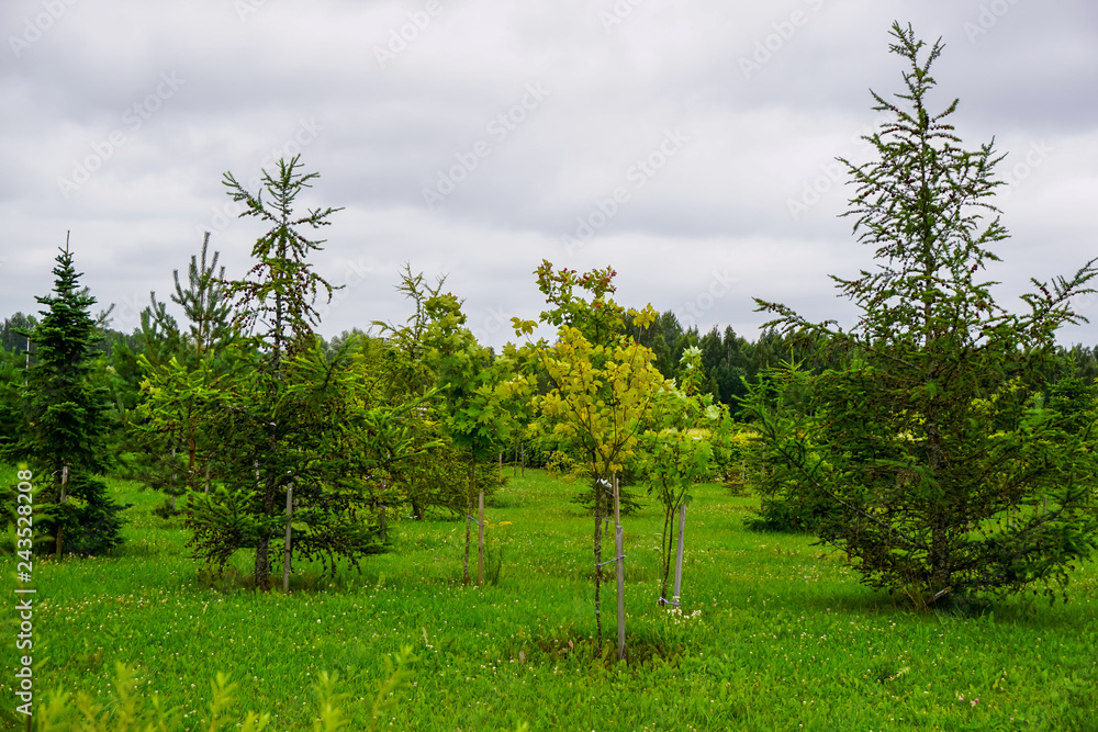 Obraz premium Garden in Koknese park Garden of Destinies in Latvia.