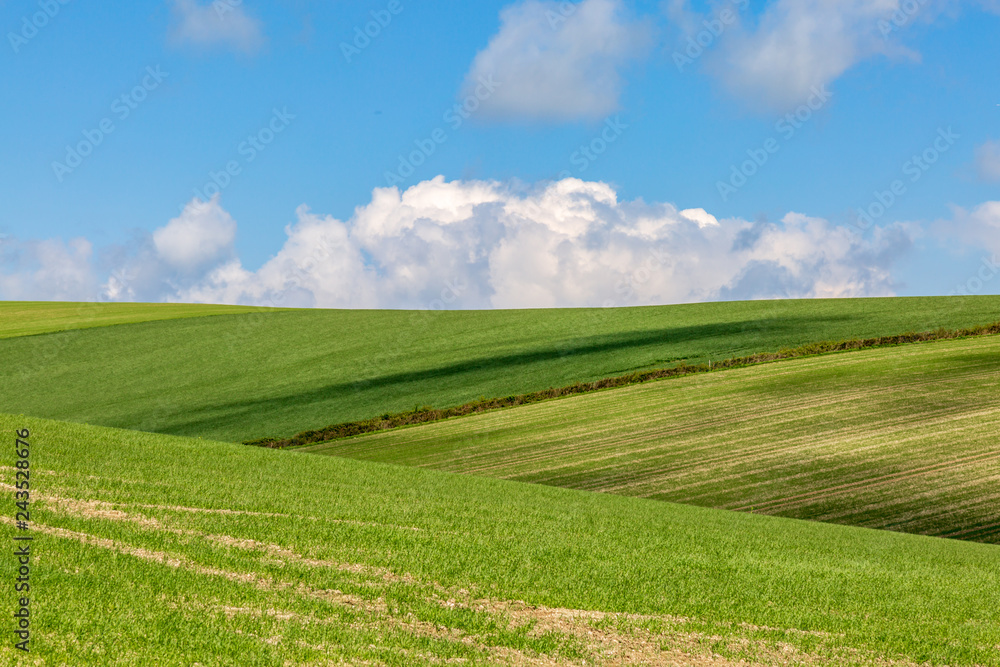 A green Sussex landscape on a sunny spring day