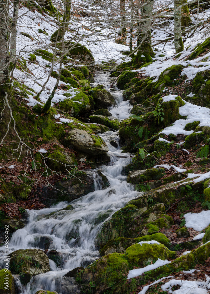 stream in the snowy forest. Irati beech, Navarre, Spain stream in the snowy forest. Irati beech, Navarre, Spain