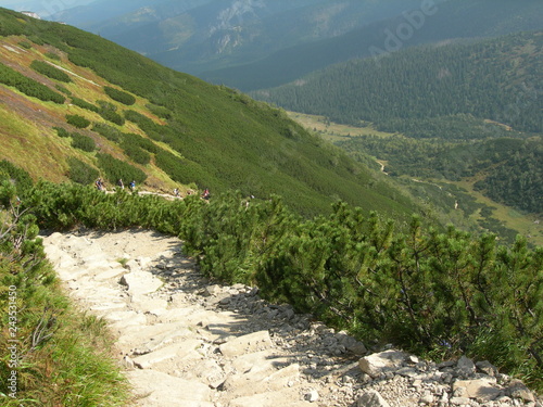 Tatry - szlak z Przełeczy Kondrackiej do Hali Kondratowej photo