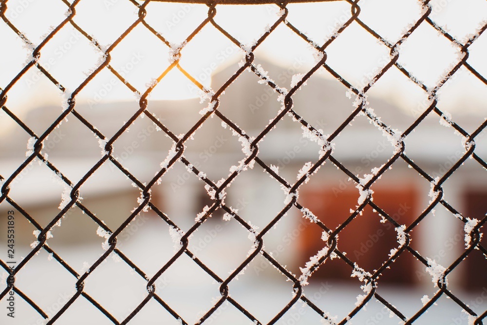 netting fence covered with frost netting fence covered with frost
