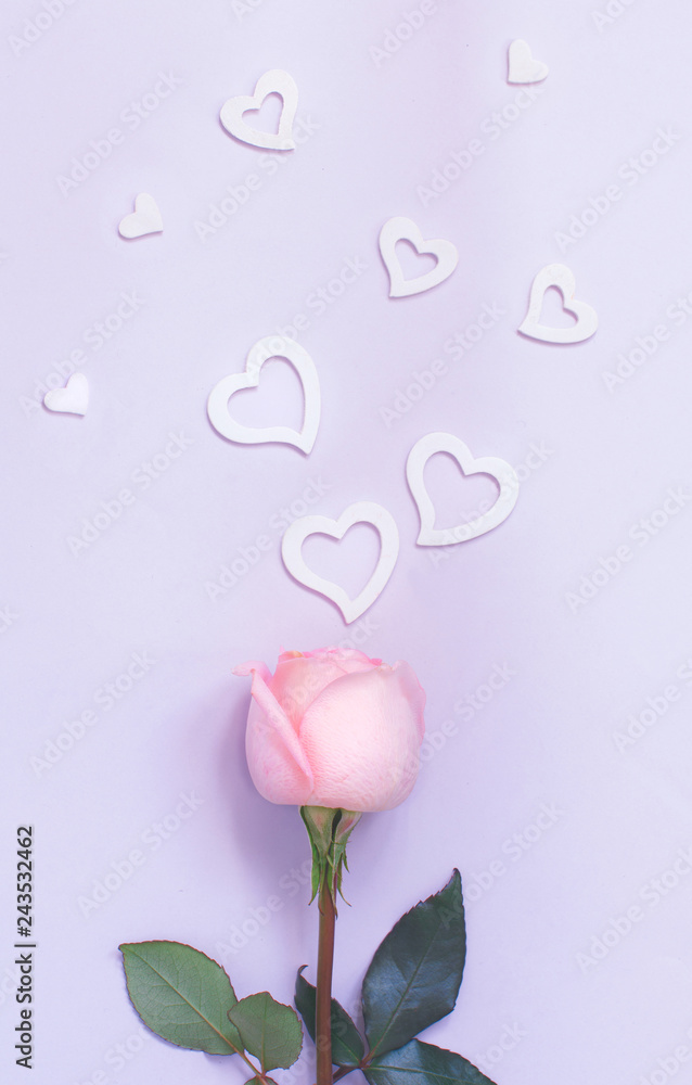 Spring composition with rose and hearts