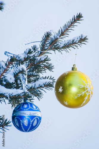 yellow and blue Christmas tree balls on a pine tree