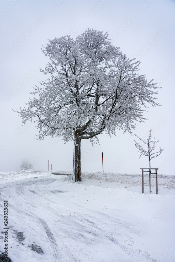Fototapeta premium Winter landscape in the Erzgebirge, Germany