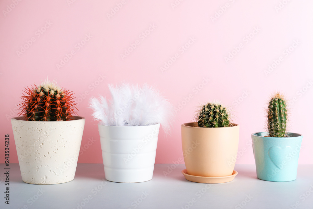 Cacti in flowerpots and one with feathers on color background. Be different - obrazy, fototapety, plakaty 