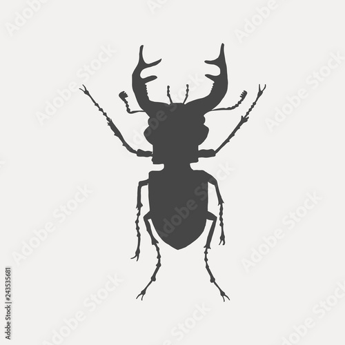 Black silhouette of a stag beetle isolated on white background. Insect vector illustration.