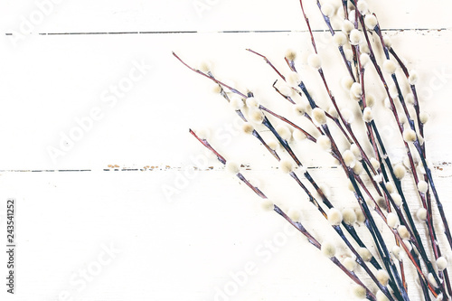 willow branches on a white wooden background