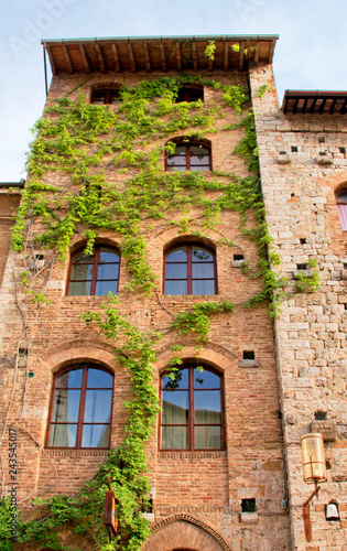 bepflanzt