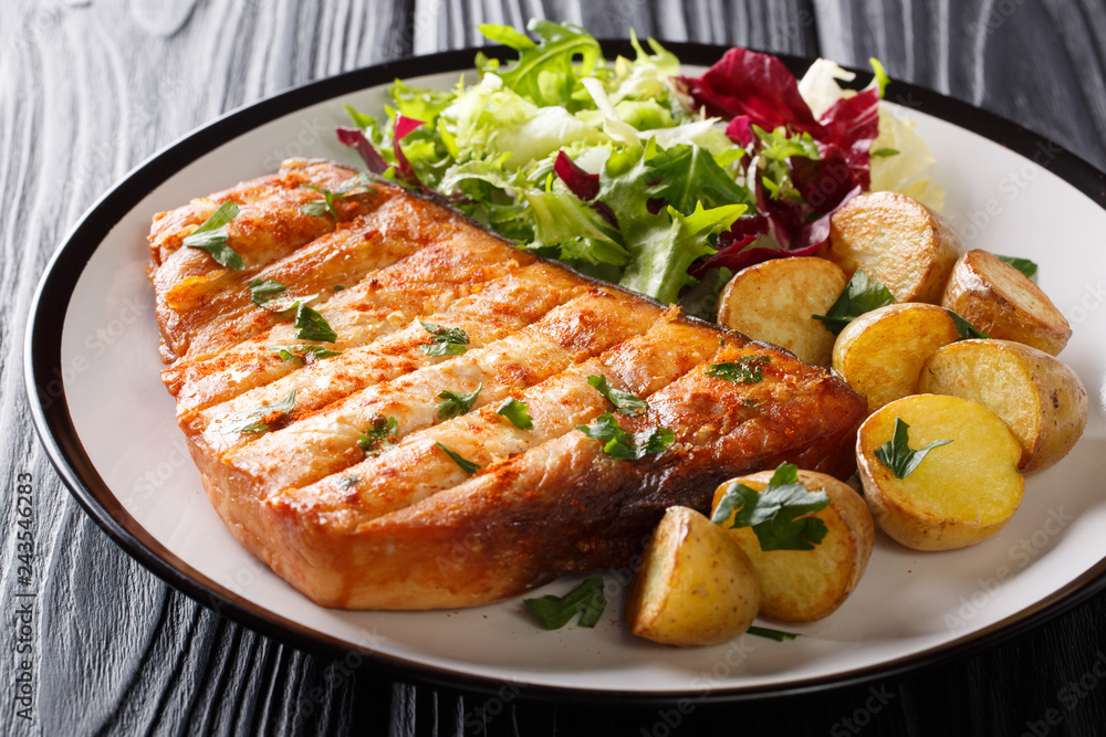 Grilled swordfish steak garnished with fried potatoes and fresh salad closeup at plate. horizontal Grilled swordfish steak garnished with fried potatoes and fresh salad closeup at plate. horizontal