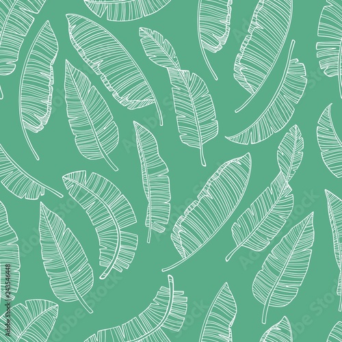 Seamless pattern with banana leaves. Simple pencil drawing. Manual graphics. Stylish vintage illustration. Design wallpaper, fabrics, postal packaging. Illustration for your design