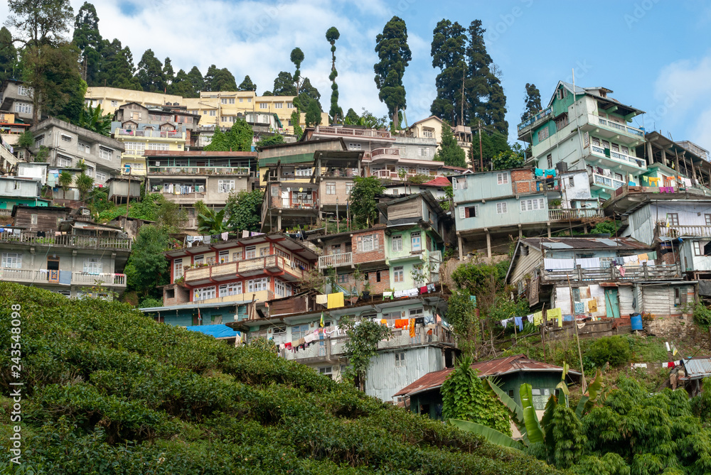 Houses above tea plantation in Darjeeling, India