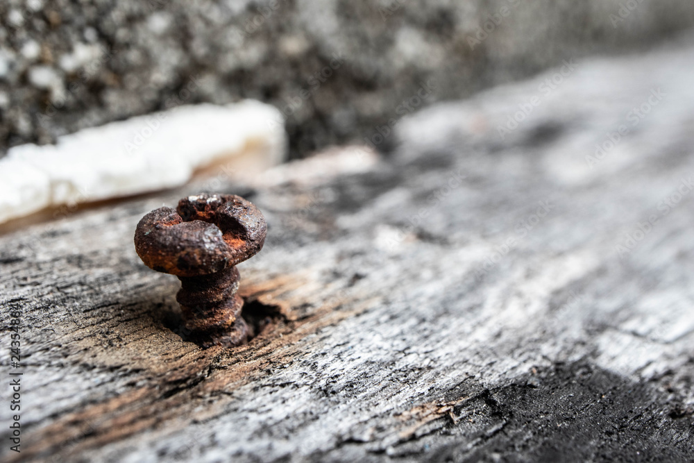 Fototapeta premium rusted screw