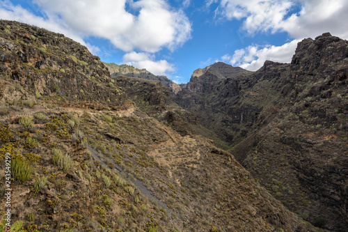 Beautiful landscapes of Barranco del Infierno in Tenerife. © Konstantin