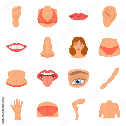 Vector illustration of body and part logo. Set of body and anatomy vector icon for stock.