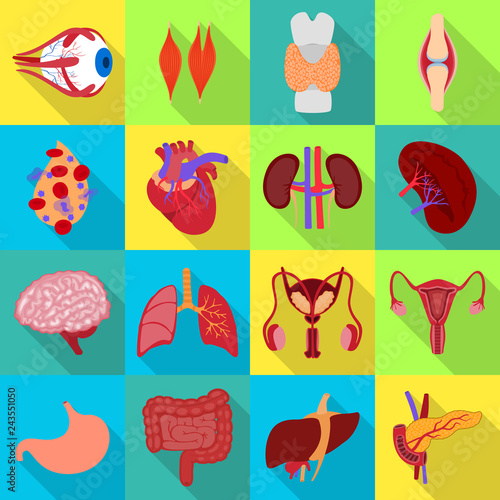 Vector design of human and health sign. Collection of human and scientific stock vector illustration.
