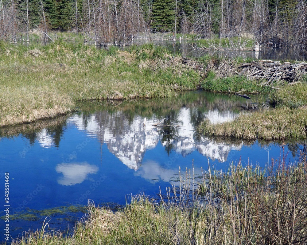 upside down Teton reflection upside down Teton reflection