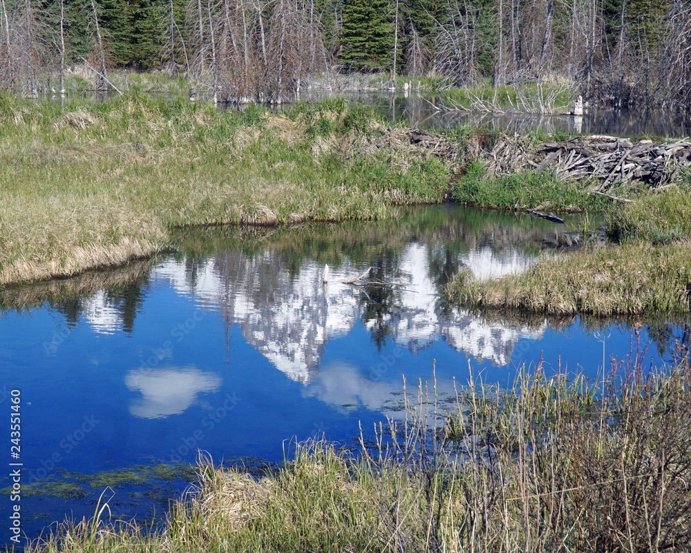 upside down Teton reflection