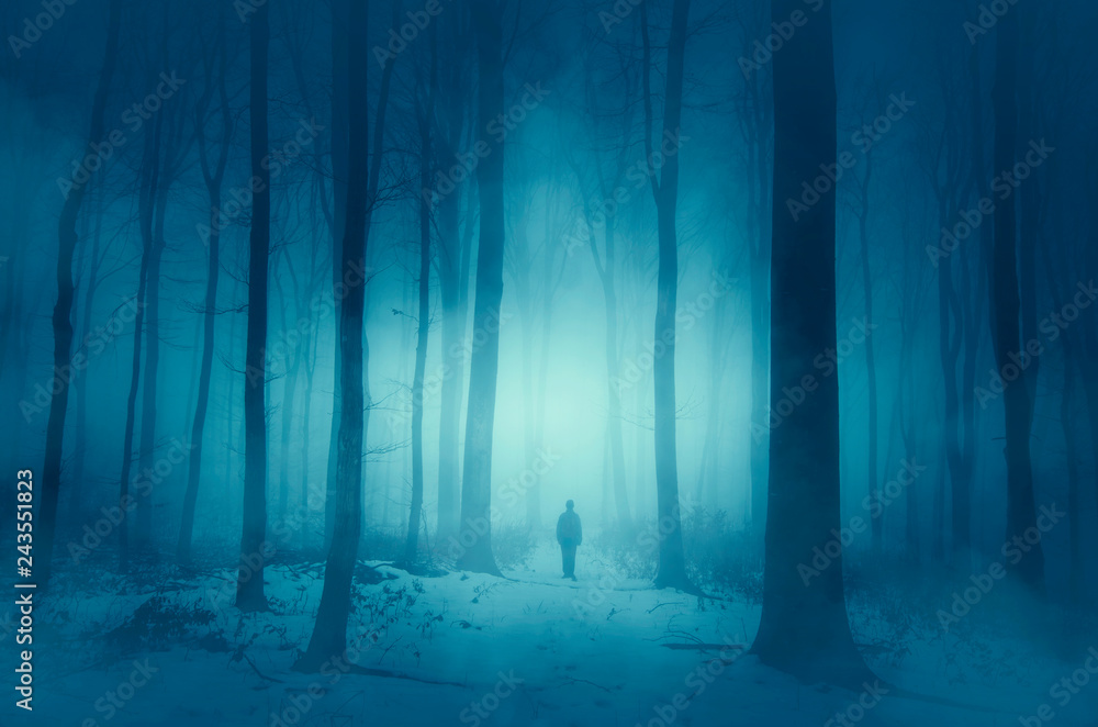 man walking on magical winter snowy path in forest