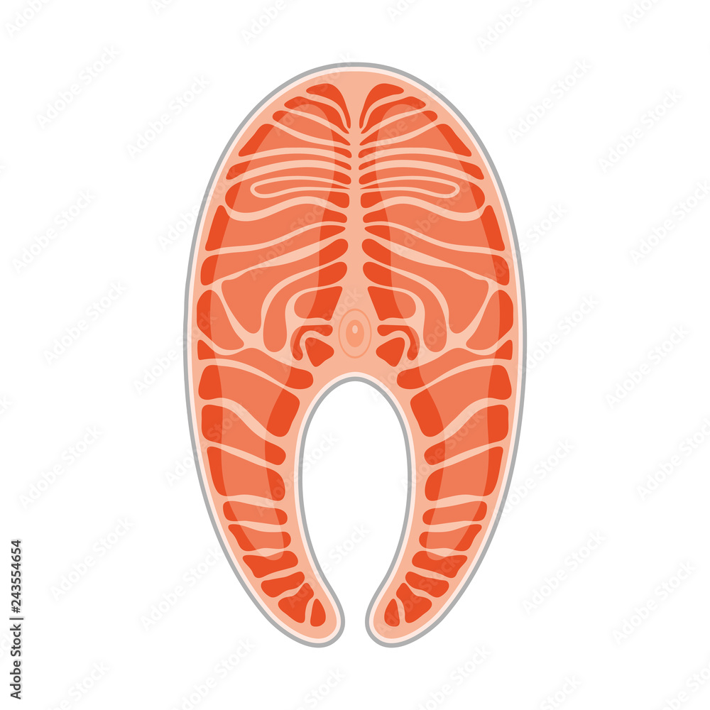 Salmon steak. Slice of red fish salmon, isolated on white background. Vector illustration. Salmon steak. Slice of red fish salmon, isolated on white background. Vector illustration.