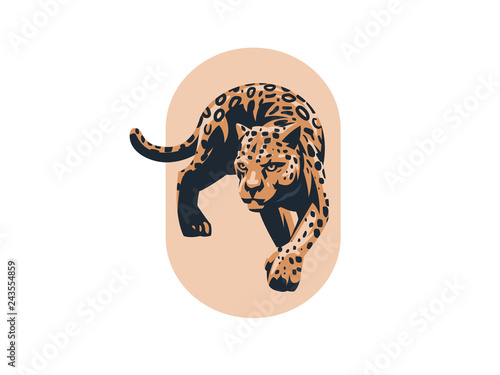 A panther or a leopard.