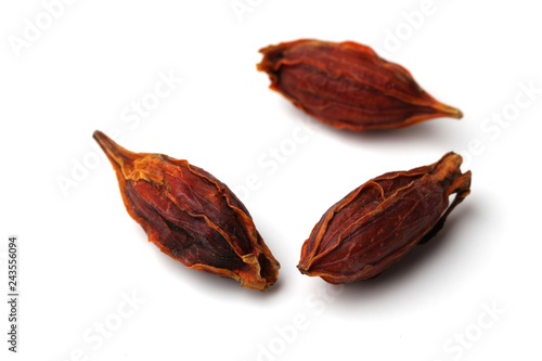 Wallpaper Mural クチナシの実 白背景 Torontodigital.ca