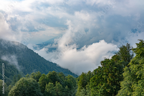 Mountains in dense clouds over the forest
