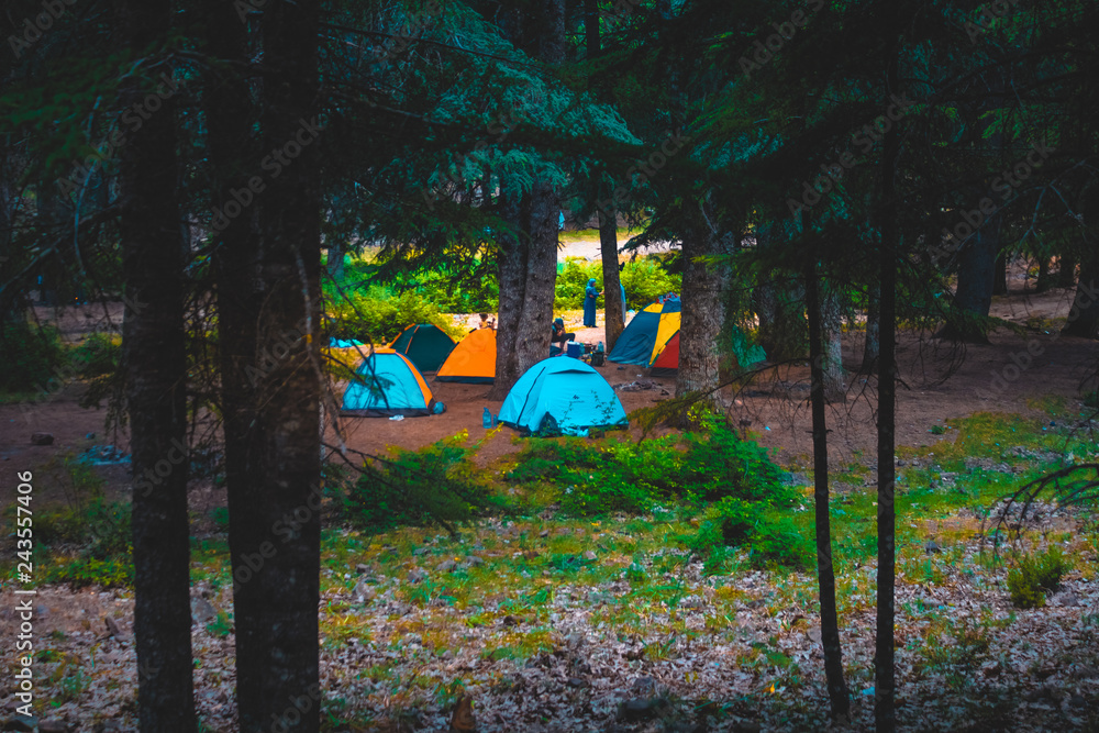 Naklejka camp in forest