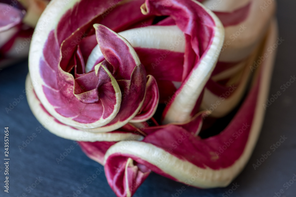 foreground of the tips of the leaves of a Treviso radicchio foreground of the tips of the leaves of a Treviso radicchio